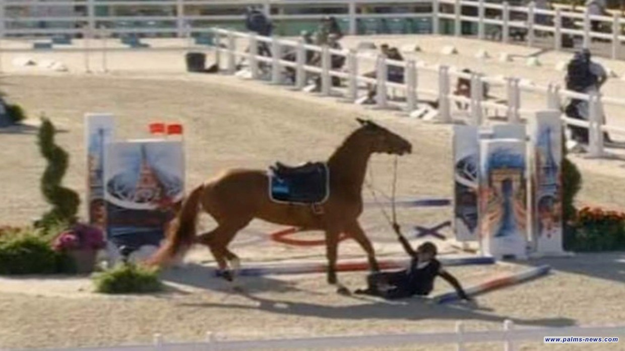 أولمبياد باريس.. استبعاد المصرية سلمى أيمن من منافسات الفروسية